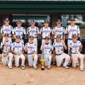 Greyhound Baseball Club 13u Champion